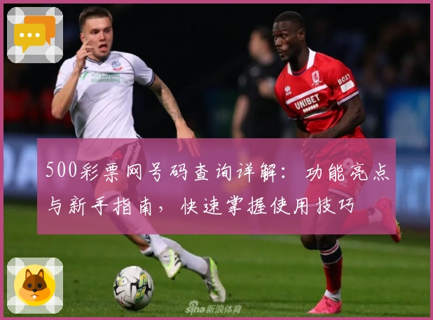 500彩票网号码查询详解:功能亮点与新手指南,快速掌握使用技巧
