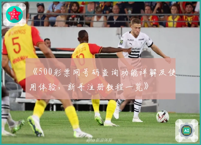 《500彩票网号码查询功能详解及使用体验，新手注册教程一览》