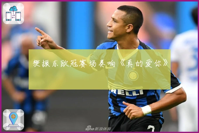 樊振东欧冠赛场奏响《真的爱你》