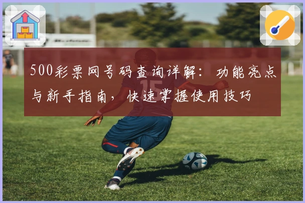 500彩票网号码查询详解：功能亮点与新手指南，快速掌握使用技巧