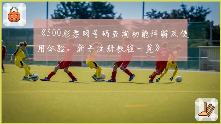 《500彩票网号码查询功能详解及使用体验，新手注册教程一览》